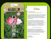 Tablet Screenshot of christietechnology.com